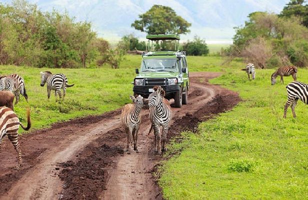 Arusha National Park day tour by the Kilimanjaro
