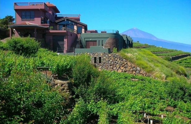 Bodegas Monje – Visit and Winetasting