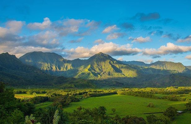 Kauai Highlights and Movie Locations Tour