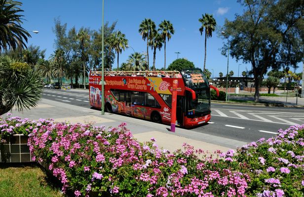 Hop-On Hop-Off Las Palmas de Gran Canaria 24hr Bus