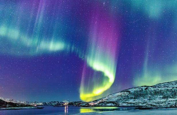 Aurora husky visit