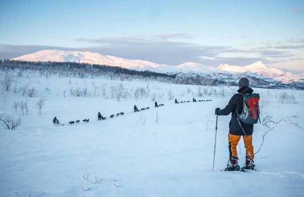 Guided snowshoe hike