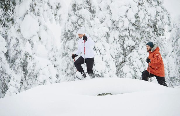 Snowshoeing tour in Pyhä-Luosto National Park