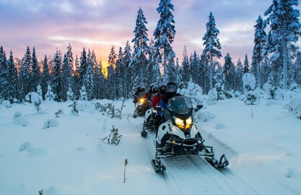 Snowmobile adventure to reindeer and husky farm
