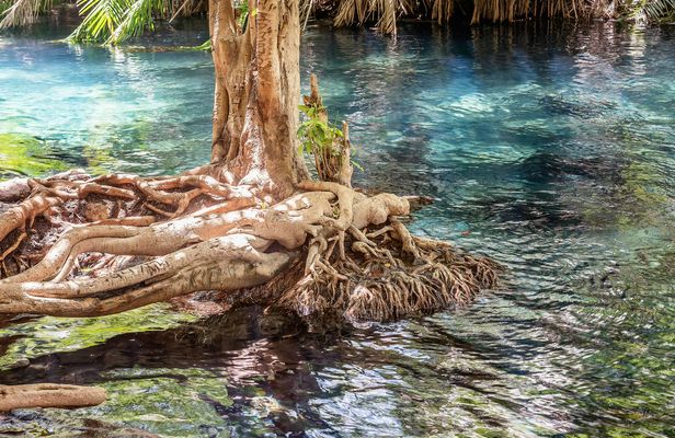 Chemka Hot Springs day trip from Arusha