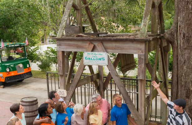 St. Augustine's combo package