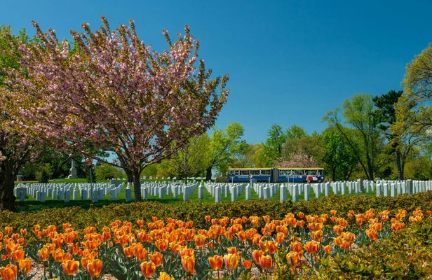 Arlington National Cemetery tour