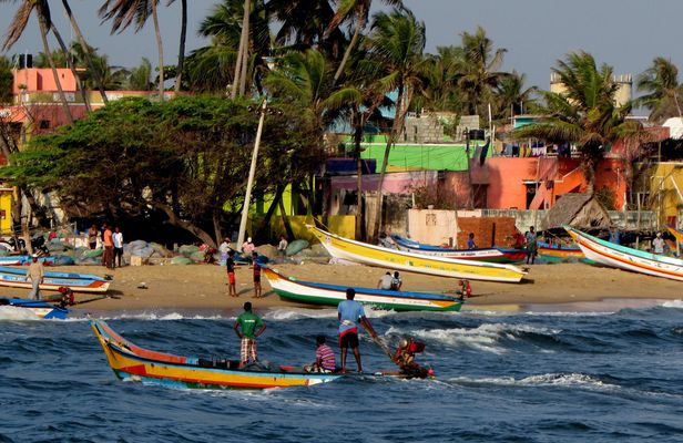 Day trip to Kumbhalangi village from Kochi