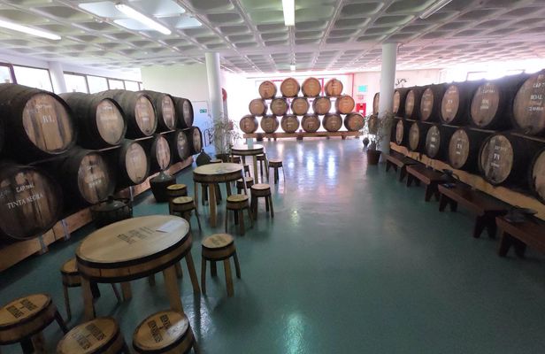 Madeira nature & wine tasting experience in open roof 4x4 tour