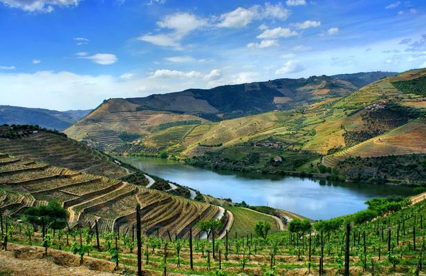 Douro Valley day tour from Porto with lunch, wine tasting, and cruise