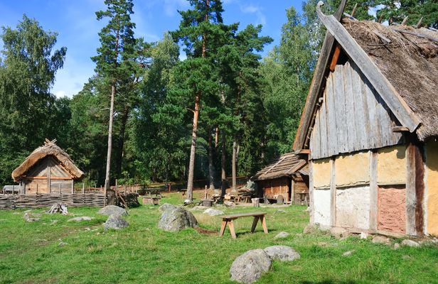 Viking era private excursion