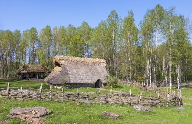 The Stockholm Bronze Age public tour