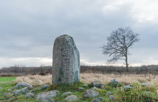 Private Iron Age history tour from Stockholm