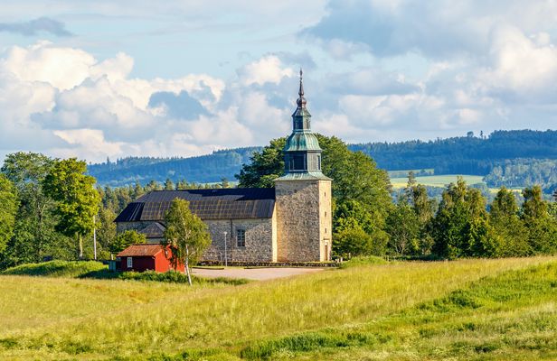 Private Swedish history and countryside tour