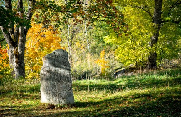 Private Viking history half-day tour