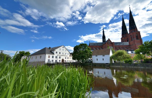 Viking history 3-hour public tour