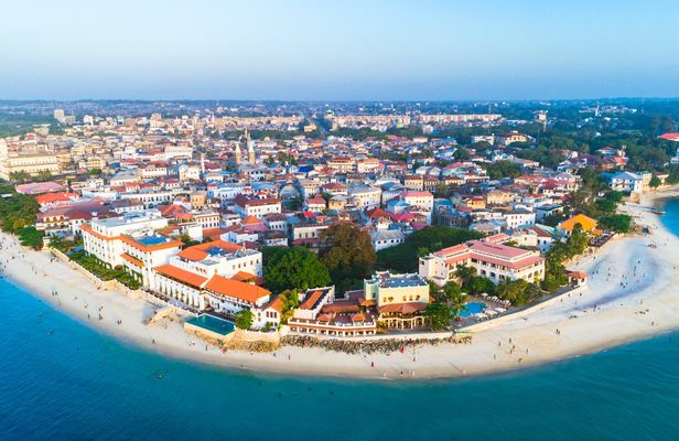 Zanzibar historic Stone Town and Jozani Forest private tour