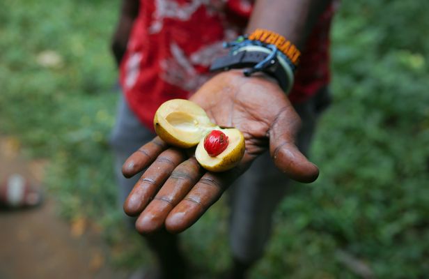 Zanzibar spice plantation, cave, and village adventure private tour