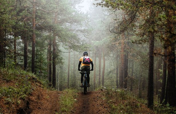 Mountainbike adventure in the Swedish forest