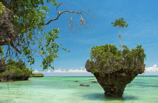 Zanzibar Uzi Island private tour