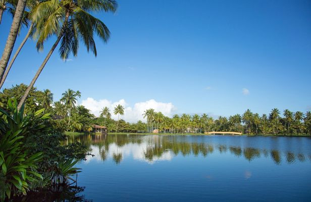 Dos Frades and Itaparica islands boat tour