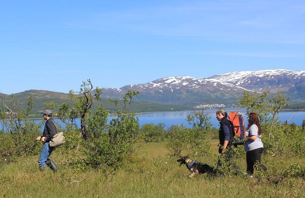 Enjoy a husky trekking trip