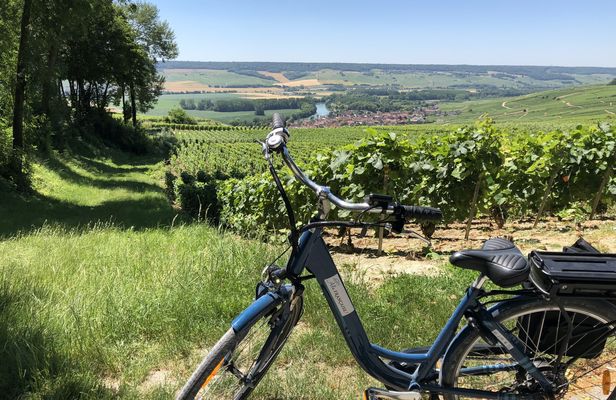 Full-day E-bike Tour in Champagne with Lunch