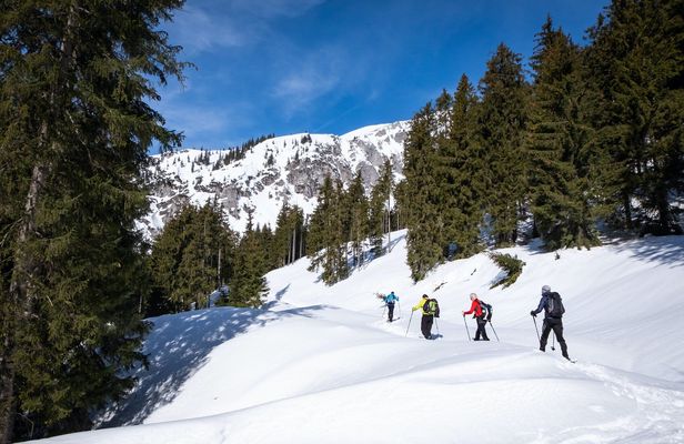 Private snowshoeing tour in Janosik Gorge