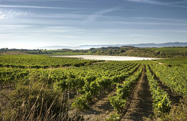 La Rioja winery visit with traditional lunch from Bilbao