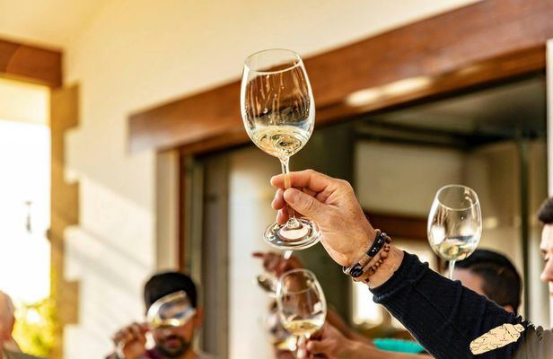 Txakoli wine house visit with tasting in a small-group