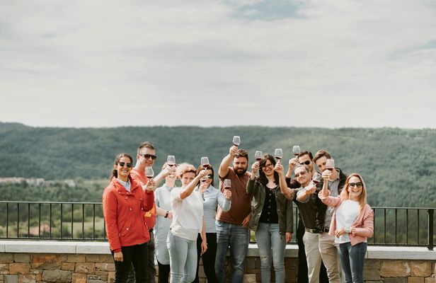 Wine tour from Ljubljana