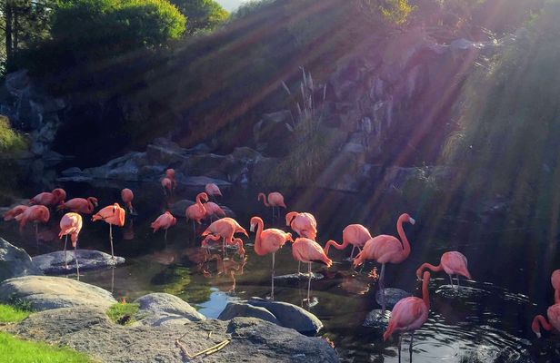 Buenos Aires Bioparque Temaiken ticket with transfer