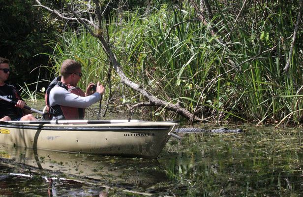 Everglades National Park mangrove tunnel kayak eco-tour