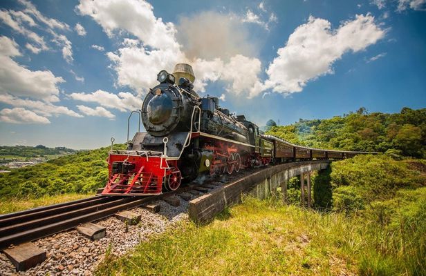 Wine tour with train and Italian Epic Park