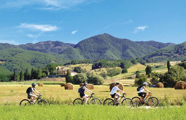 Tuscany by bike and saffron tasting