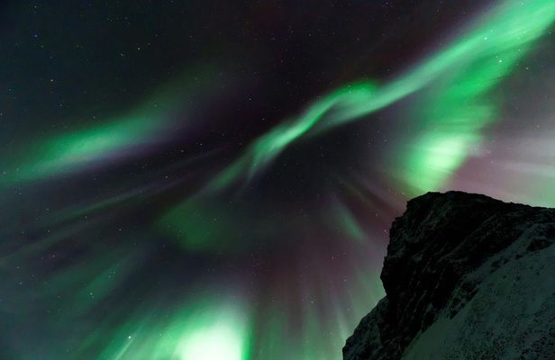 Whale watching and northern lights tour from Reykjavik