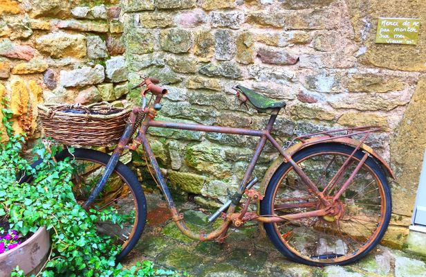 Private Beaujolais wine tour from Lyon