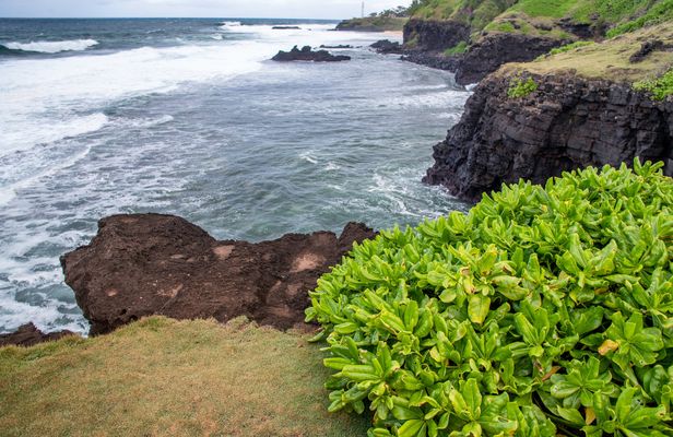 La Vanille Nature Park and Gris Gris beach tour