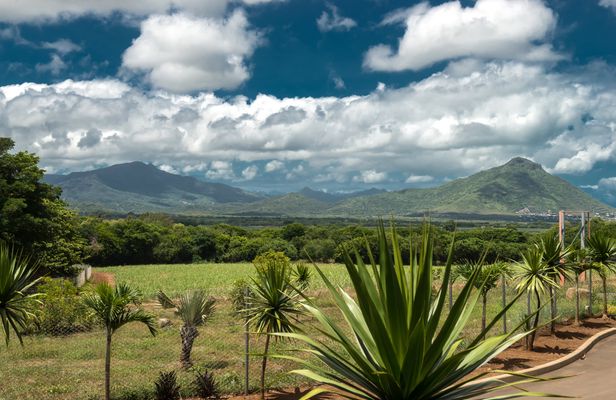 Casela Nature Parks entrance tickets with transfer