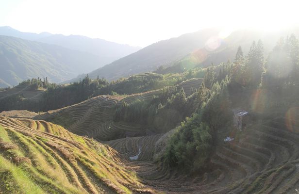 Full-day rice terrace in Longsheng and local village tour