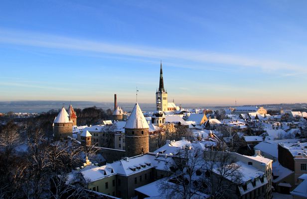 Tallinn and Estonian nature tour