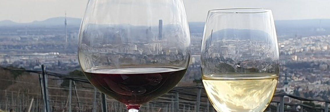 Historical wine tasting and walking tour in Vienna