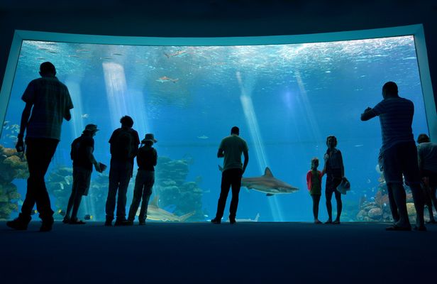 Underwater observatory tickets