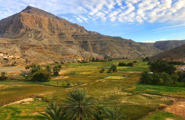Half-day mountain safari to Jebel Harim