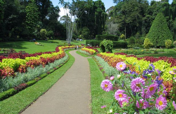 Kandy day tour from Colombo