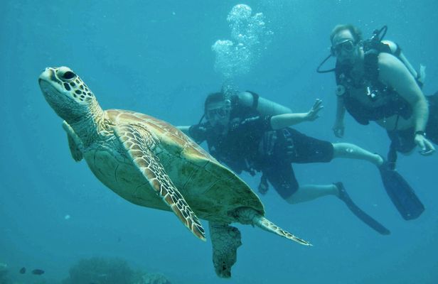 Fast stylish Catamaran in the Great Barrier Reef