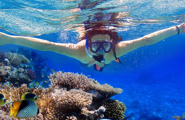 Eilat coral reef snorkeling with instructor