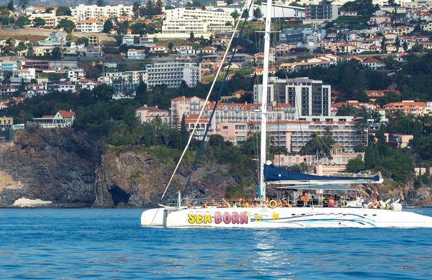 Madeira wine tasting and dolphin watching tour