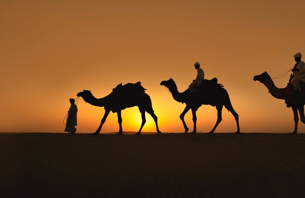 Naqb National Park in a 4x4 with camel ride and dinner