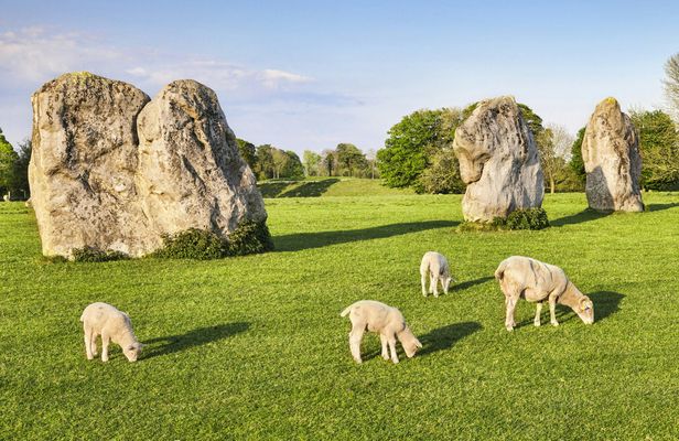Bath, Avebury and Lacock Village small group day tour from London